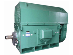 YKK4003-2-250KWY系列6KV高压电机